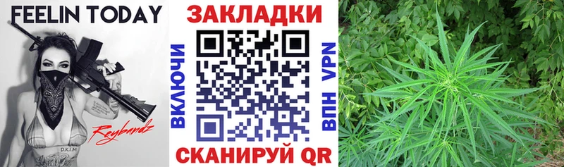 Где продают наркотики Ясный Канабис  Alpha PVP  ГАШИШ  АМФ  Cocaine 
