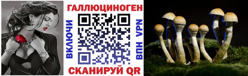 как найти закладки  Ясный  Галлюциногенные грибы Magic Shrooms 